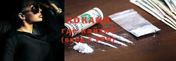 индика Балахна