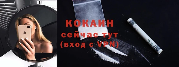 прущие крисы Арсеньев